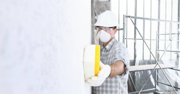 Mold Remediation for Vacation Homes in Harrogate, TN